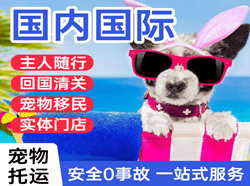 昆冈机场货运国际宠物托运 【国